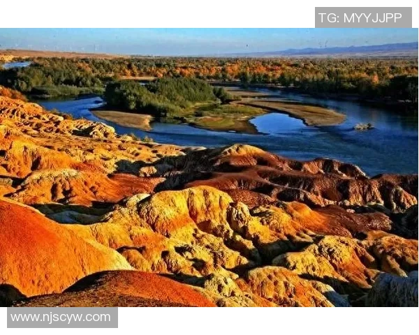 布莱克尼的神秘魅力探寻与自然奇观的完美融合之旅 布莱克尼的神秘魅力探寻与自然奇观的完美融合之旅