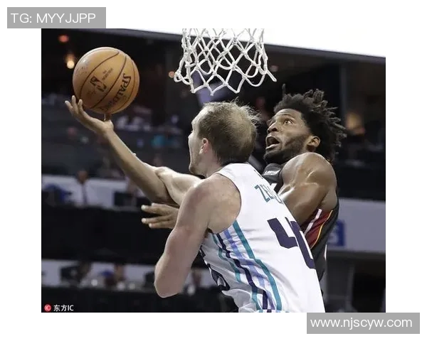 2015至2016赛季热火与黄蜂精彩对决回顾与分析