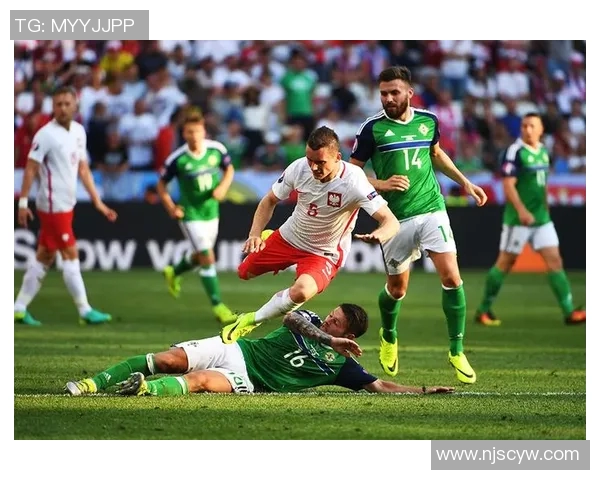 波兰与爱尔兰激战正酣比赛结果及精彩瞬间回顾