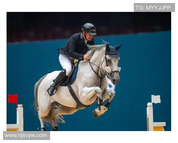 新谢天鹅迎战福冈黄蜂期待精彩对决与激烈角逐