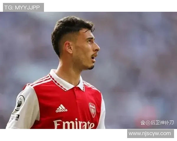 马丁内利的崛起之路：从青训小将到世界级足球明星的蜕变历程