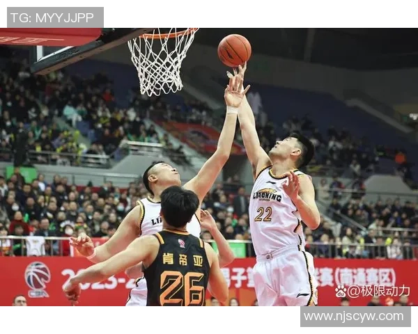 CBA辽宁男篮对阵浙江精彩对决高清回放与分析