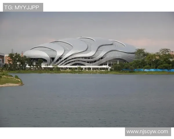 广州极限运动队的转型与革新探索：新挑战与新机遇的交汇点MBA