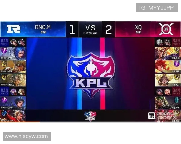 RNG在职业联赛中的速度表现分析与战术探讨